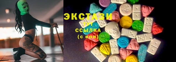индика Ладушкин