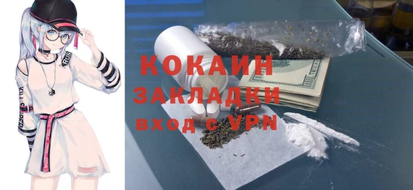 винт Алзамай