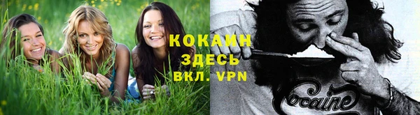 ГАЛЛЮЦИНОГЕННЫЕ ГРИБЫ Кинешма